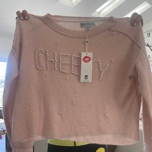 Cheeky wild fox sweater